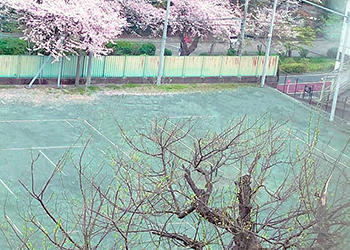 トレーニング部員のトレーニング中の様子